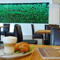 Moha Café