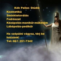 Kék Pallas Stúdió
