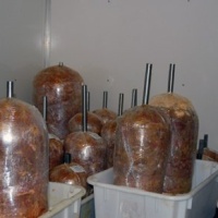 Mehari Bt. Gyros Üzem