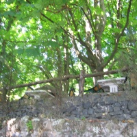Kisfaludy-ház Étterem