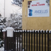 Angelus Állategészségügyi Centrum