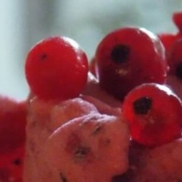 Hóvirág Fagylaltbár