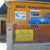 Süllő Horgászbolt