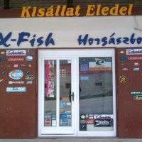 X-Fish Horgászbolt