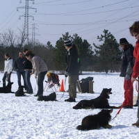 Ebgondolat Kutyaiskola