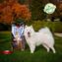 Husse Állateledel Webáruház