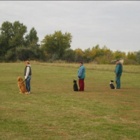 Csepeli Meteor Kutyaiskola