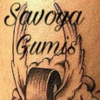 Savoya Gumiszerviz - Savoya Park