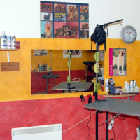 Naffy Kutyakozmetika