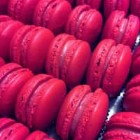 Party Macaron oktató műhely