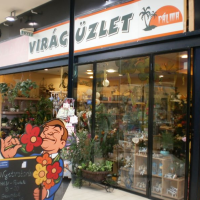 Pálma Virágüzlet