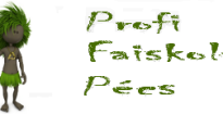 Profi Faiskola Pécs