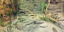 Tropicarium - A cápás állatkert