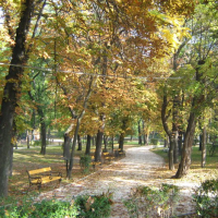 Orczy Park