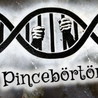 Szabadulós játék: Pincebörtön