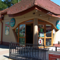 Csapó Gyros és Hamburger Ház