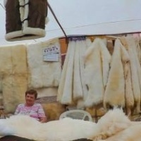 Kecskés szőrme