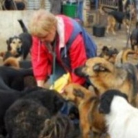 Váczikai Cerberus Alapítvány Paksi Állatmenhelye