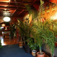 Fiorire Biliárd Club