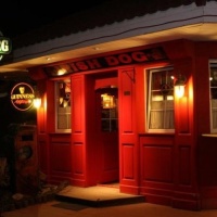 Irish Dog Pub