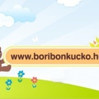 Boribon Mozgás- és Képességfejlesztő Kuckó