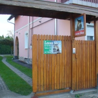 Lovas-Shop - Pécs
