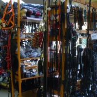 Lovas-Shop - Pécs