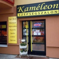 Kaméleon Szépségszalon