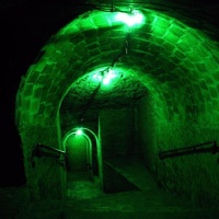 Logikamra - Wonderground