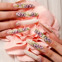 Brillage Nails and Make up