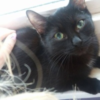 Egri Menhely - Állatokat Védjük Együtt Alapítvány