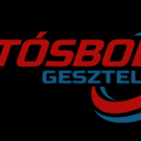Autósbolt Gesztely