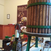 Molnár Családi Borászat Borszaküzlet