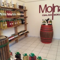 Molnár Családi Borászat Borszaküzlet
