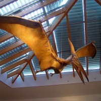 Magyar Természettudományi Múzeum