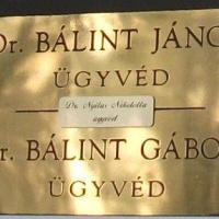 Nyilas Nikoletta ügyvéd