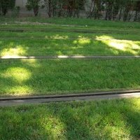 Szegedi Közlekedési Kft.