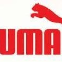 Puma - Csaba Center