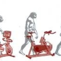 A1 Magma Fitness-Wellness