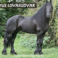 Mátyus Udvarház - Egedhegyi Lipicai Lovastanya