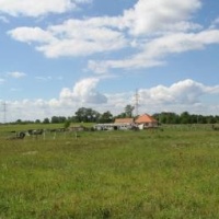 Júlia lovasfarm - Kecskemét