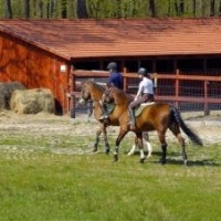 Gosztitóka Szabadidőközpont és Lovarda