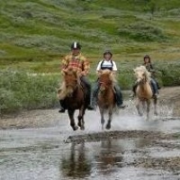 Felnőttképzési Oktatási Lovasközpont (FOLK)