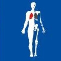 No Nikotin No Allergia