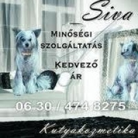 Siva Kutyakozmetika