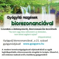 Gyógyerő Egészségközpont