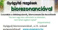 Gyógyerő Egészségközpont