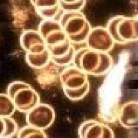 Quantum-Medica