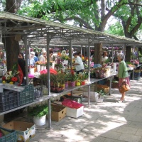 Gyulai Piac